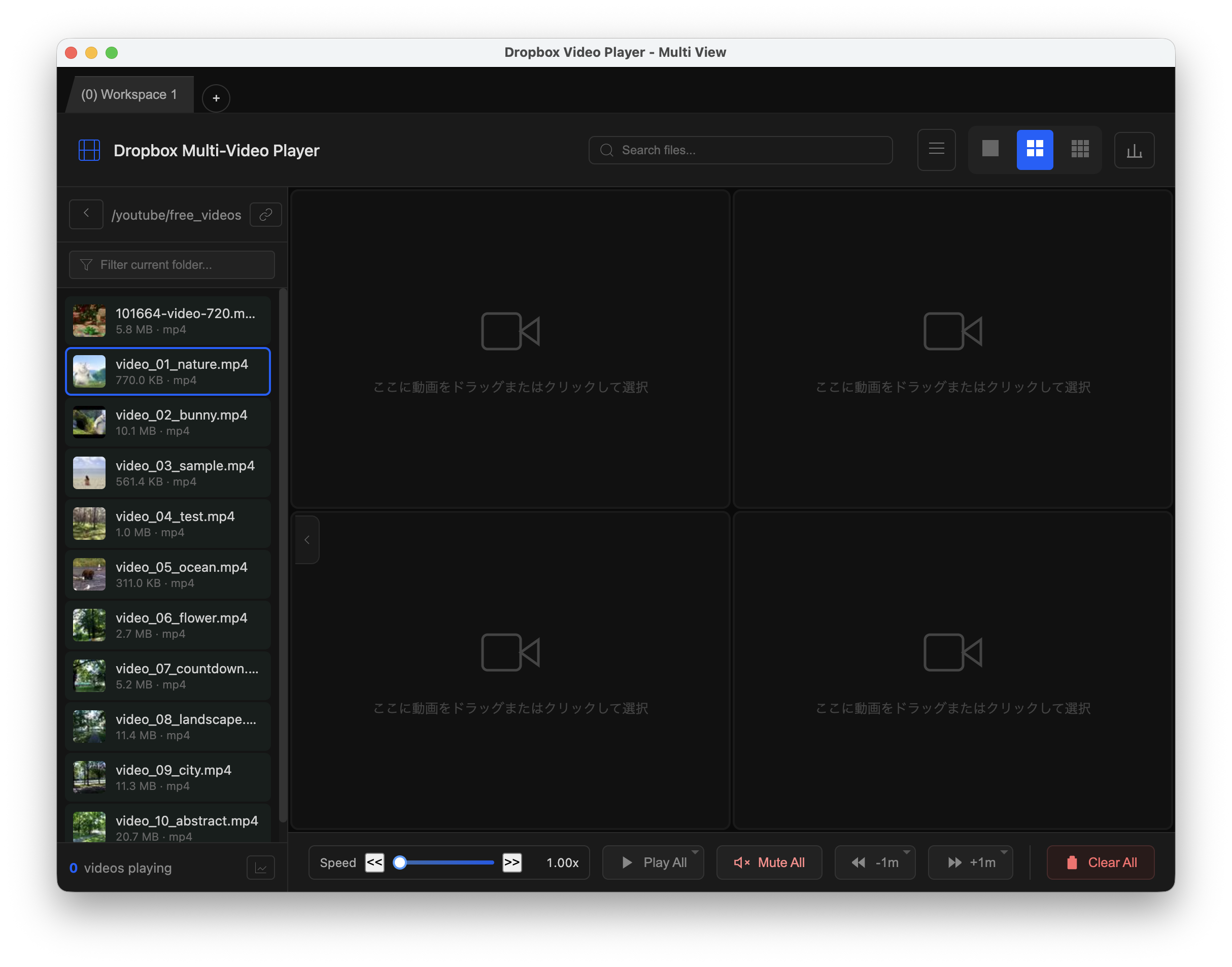 App after successful authorization