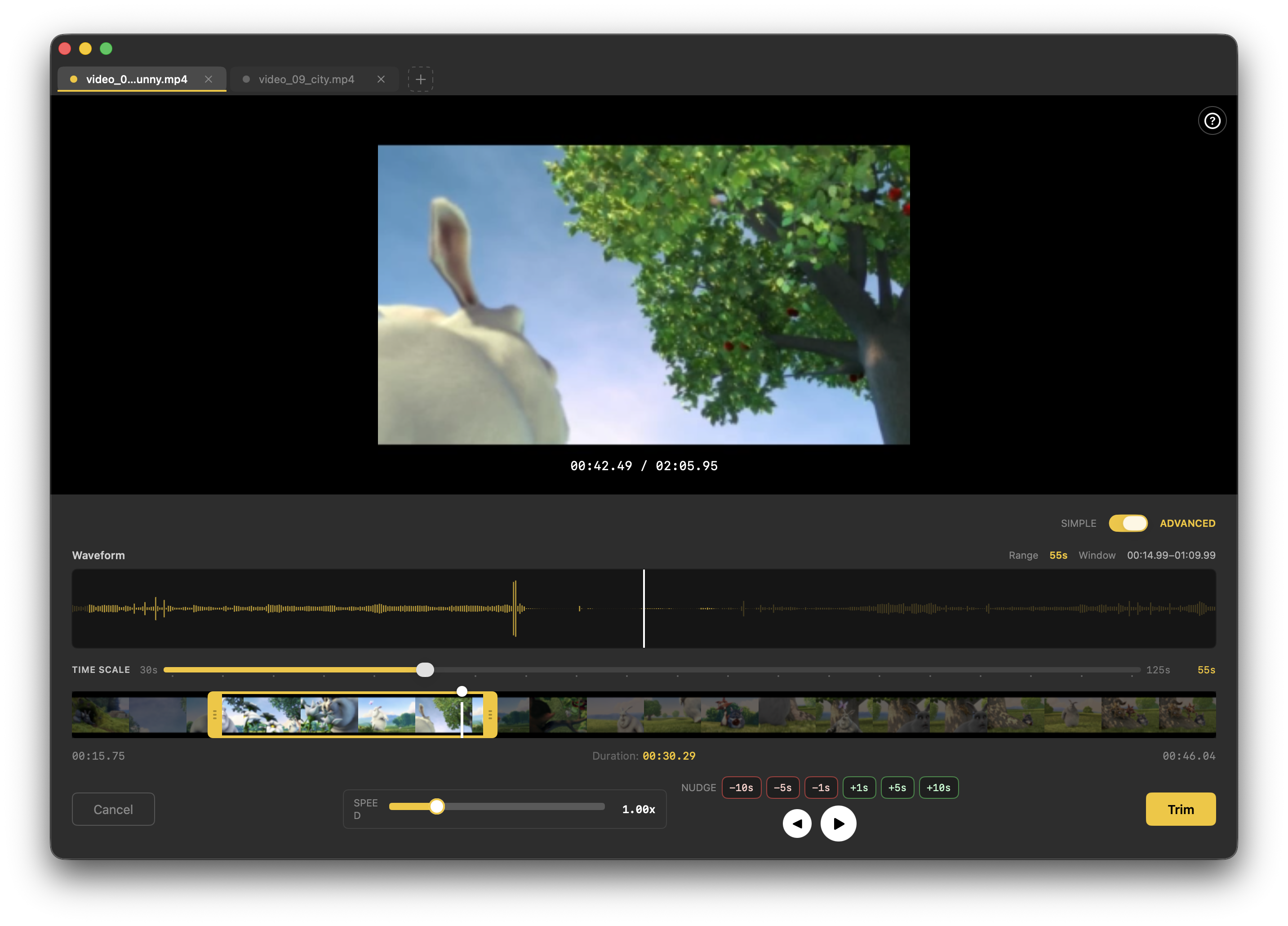 SnapTrim - Advanced mode画面