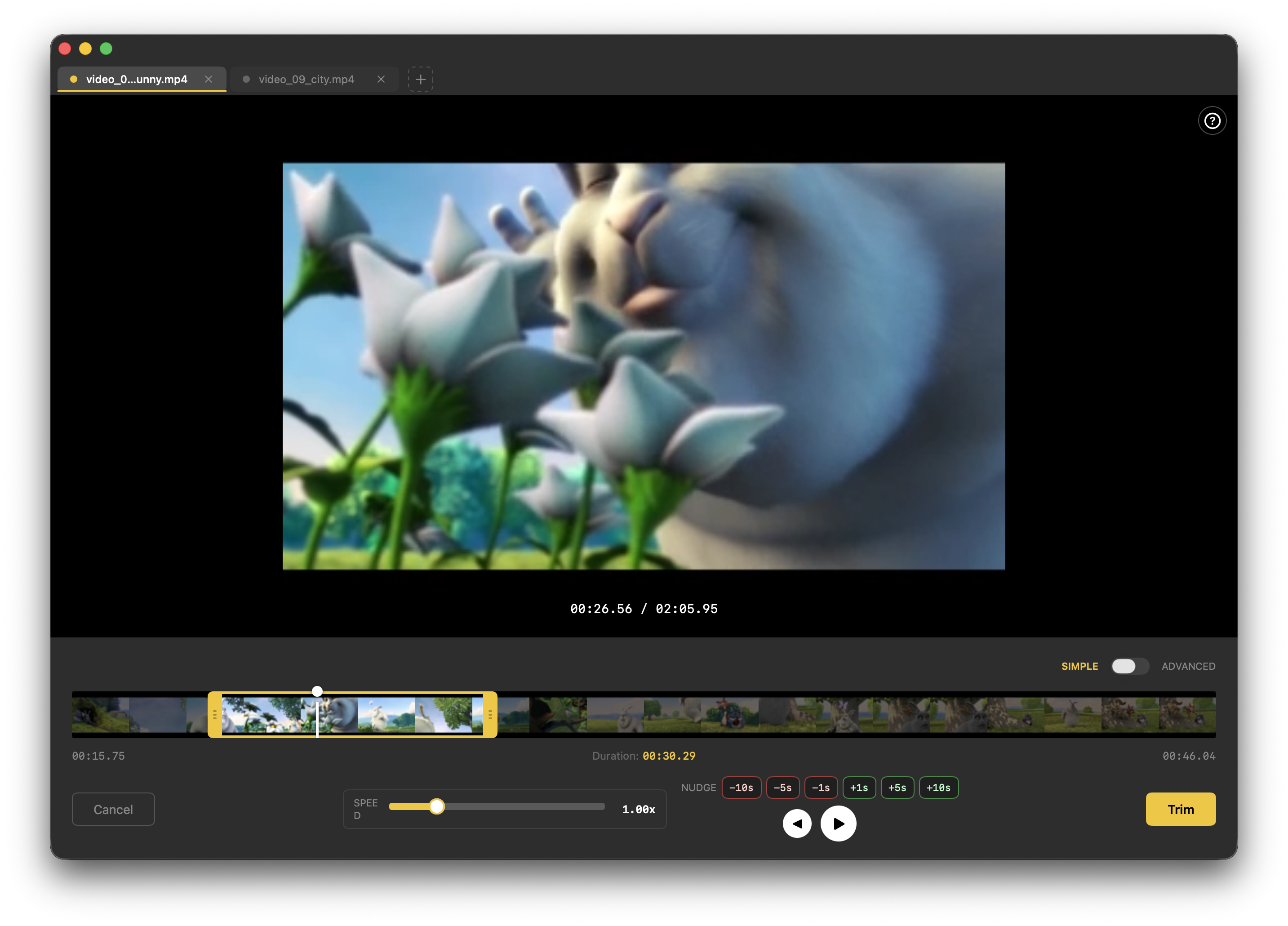 SnapTrim - Simple mode画面